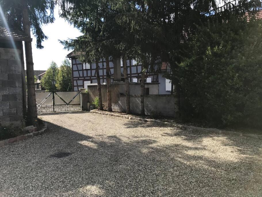 Paisible Logement Tout Equipe Pour 1 A 6 Personnes Ebersheim Eksteriør bilde